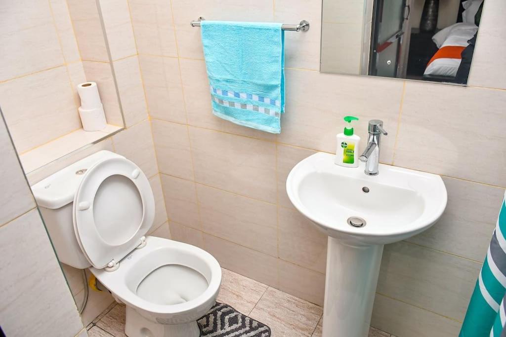 अपार्टमेंट Alisons Place Lovely Furnished Close To Jkia And Sgr