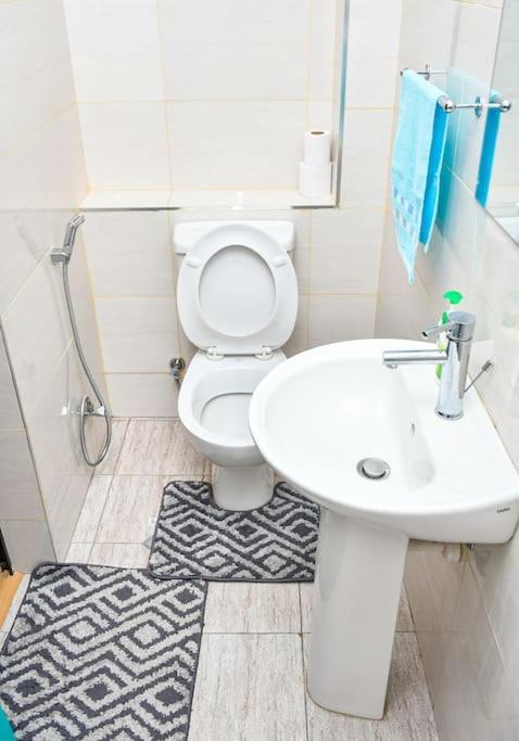 अपार्टमेंट Alisons Place Lovely Furnished Close To Jkia And Sgr