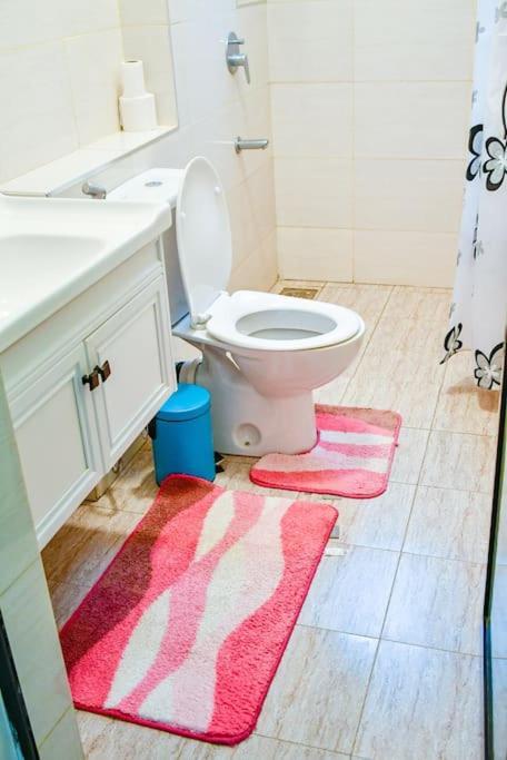 Alisons Place Lovely Furnished Close To Jkia And Sgr *
